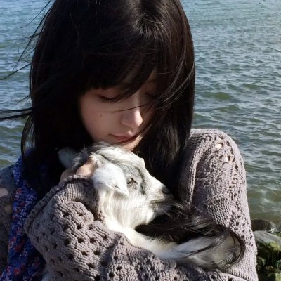 裸露在狼群国语